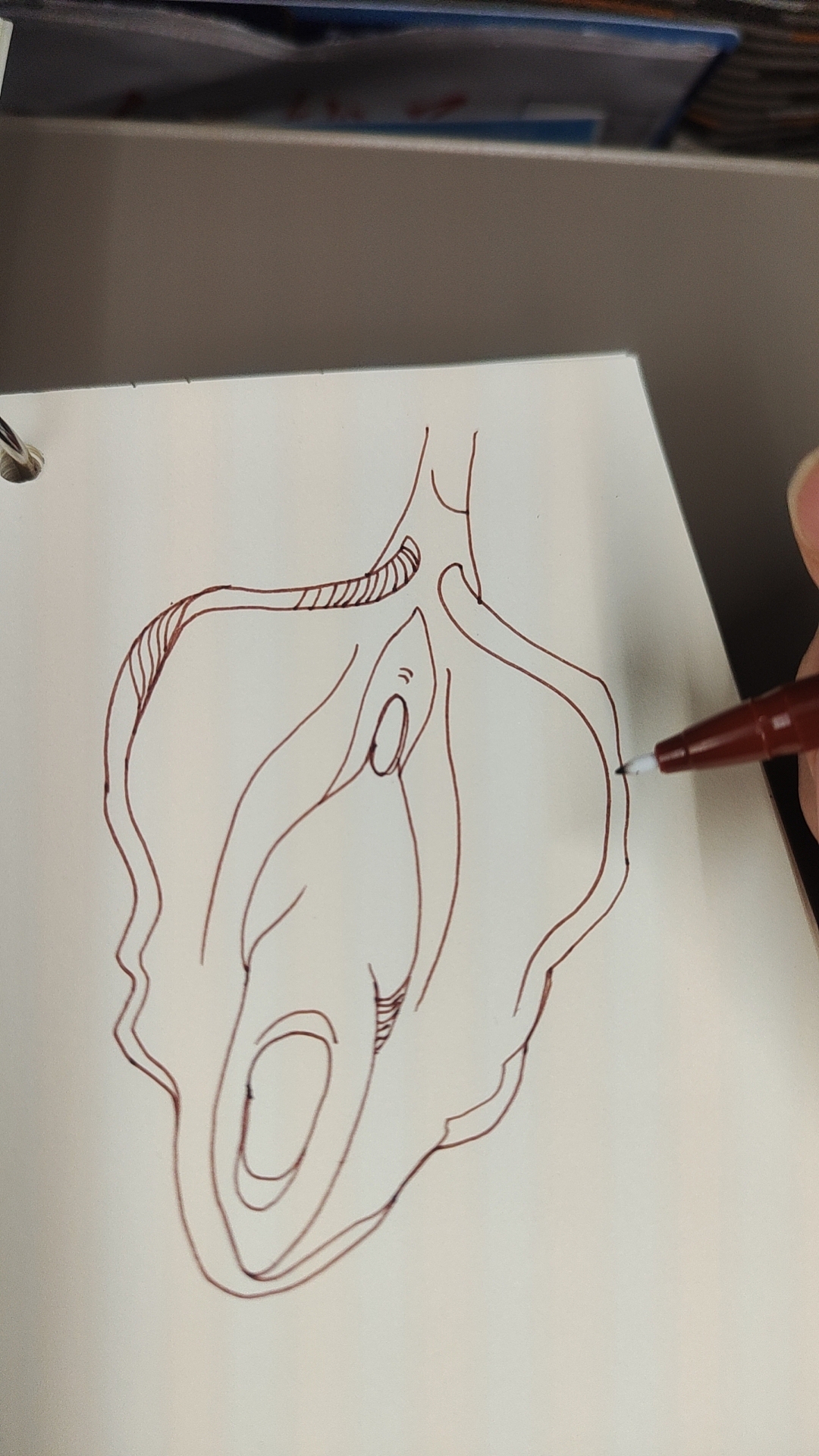 《看见》（图ZMzk5NTc5NzY4） - 艺术插画 - 站酷设计师猫黑云原创素材 - 站酷ZCOOL