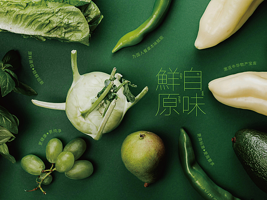 風河-林小生品牌视觉体系升级