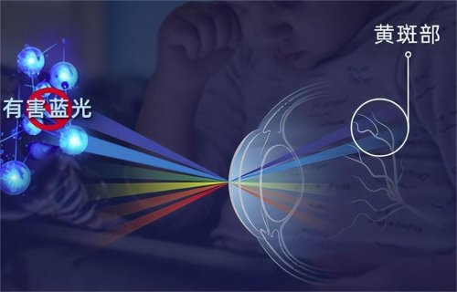 儿童护眼灯哪家好？学生最建议买的十大高口碑护眼台灯推荐，家长放心！