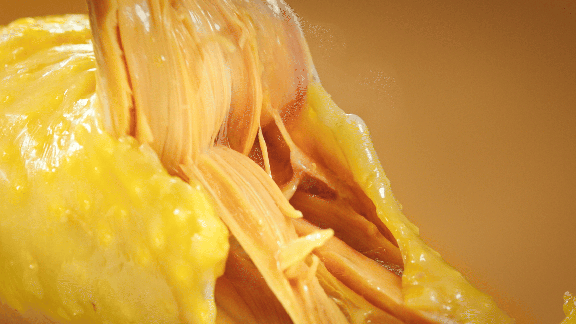 速达 | 蟹黄鸡汤面 ✖ 众目摄影 |（图ZMzk5NjA5ODA0） - 宣传片 - 站酷设计师众目摄影设计原创素材 - 站酷ZCOOL