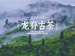 龙脊古茶 | 品牌作品