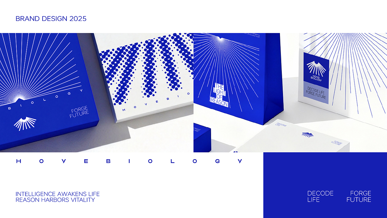 品牌设计 | HOYE BIOLOGY(图ZMzk5NjI2NTI4) - 品牌 - 站酷设计师胆子不大原创素材 - 站酷ZCOOL