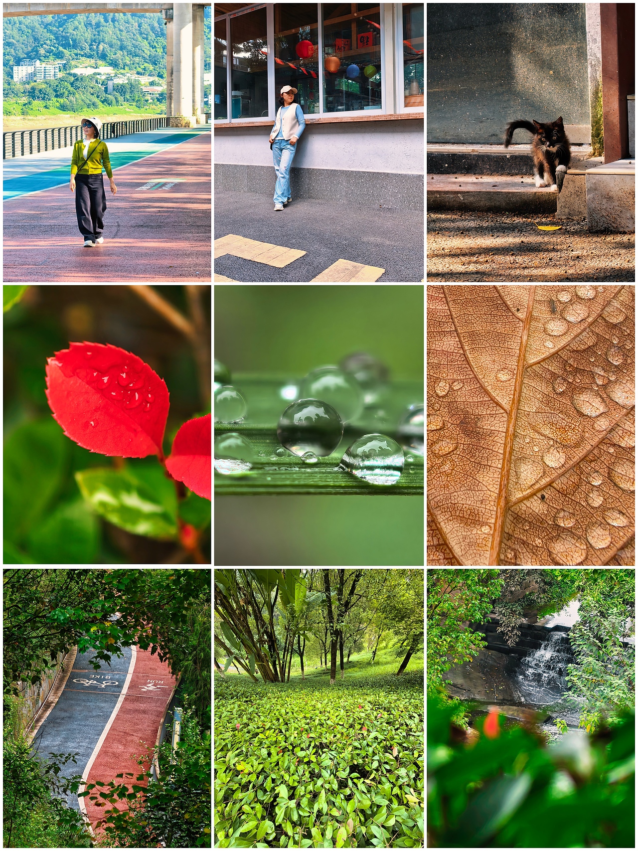 城市里的湿润松弛感：水与光的温柔拼图