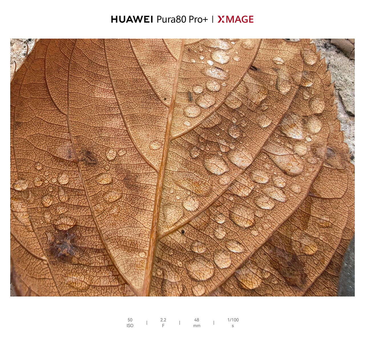 城市里的湿润松弛感：水与光的温柔拼图