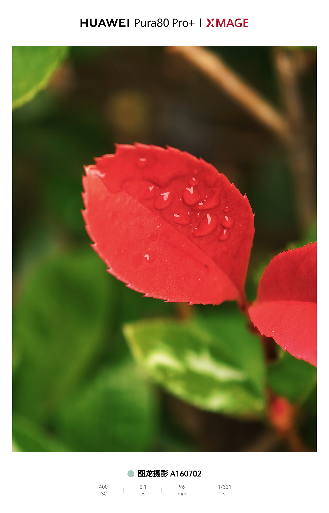 城市里的湿润松弛感：水与光的温柔拼图