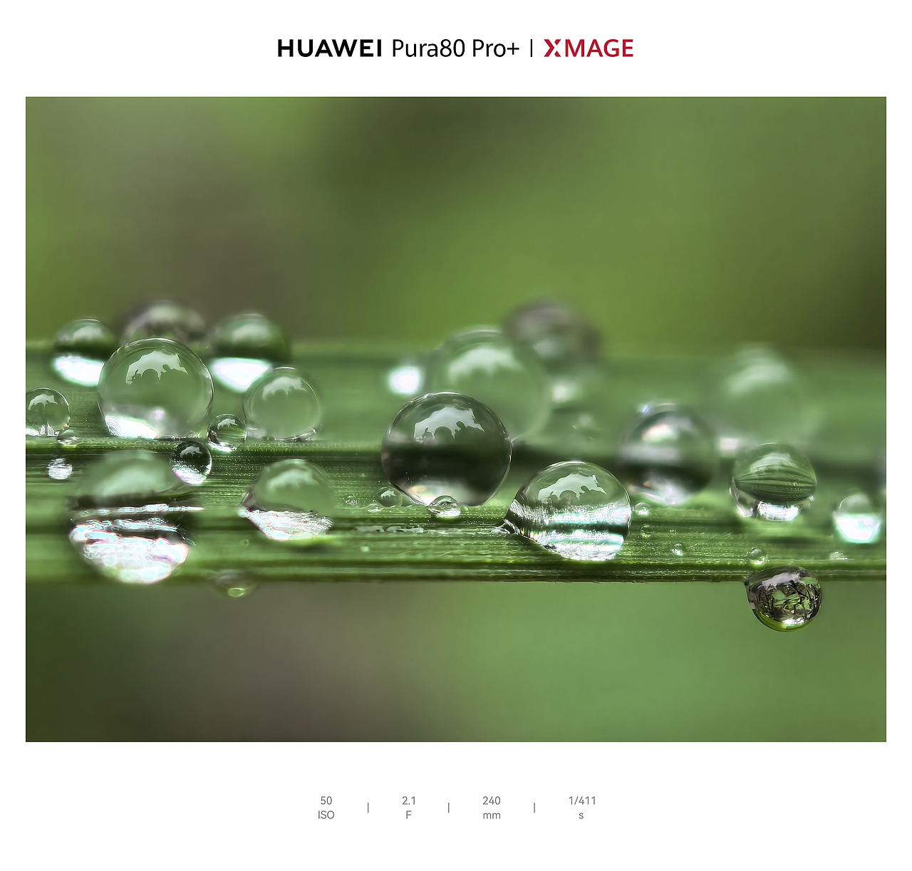 城市里的湿润松弛感：水与光的温柔拼图