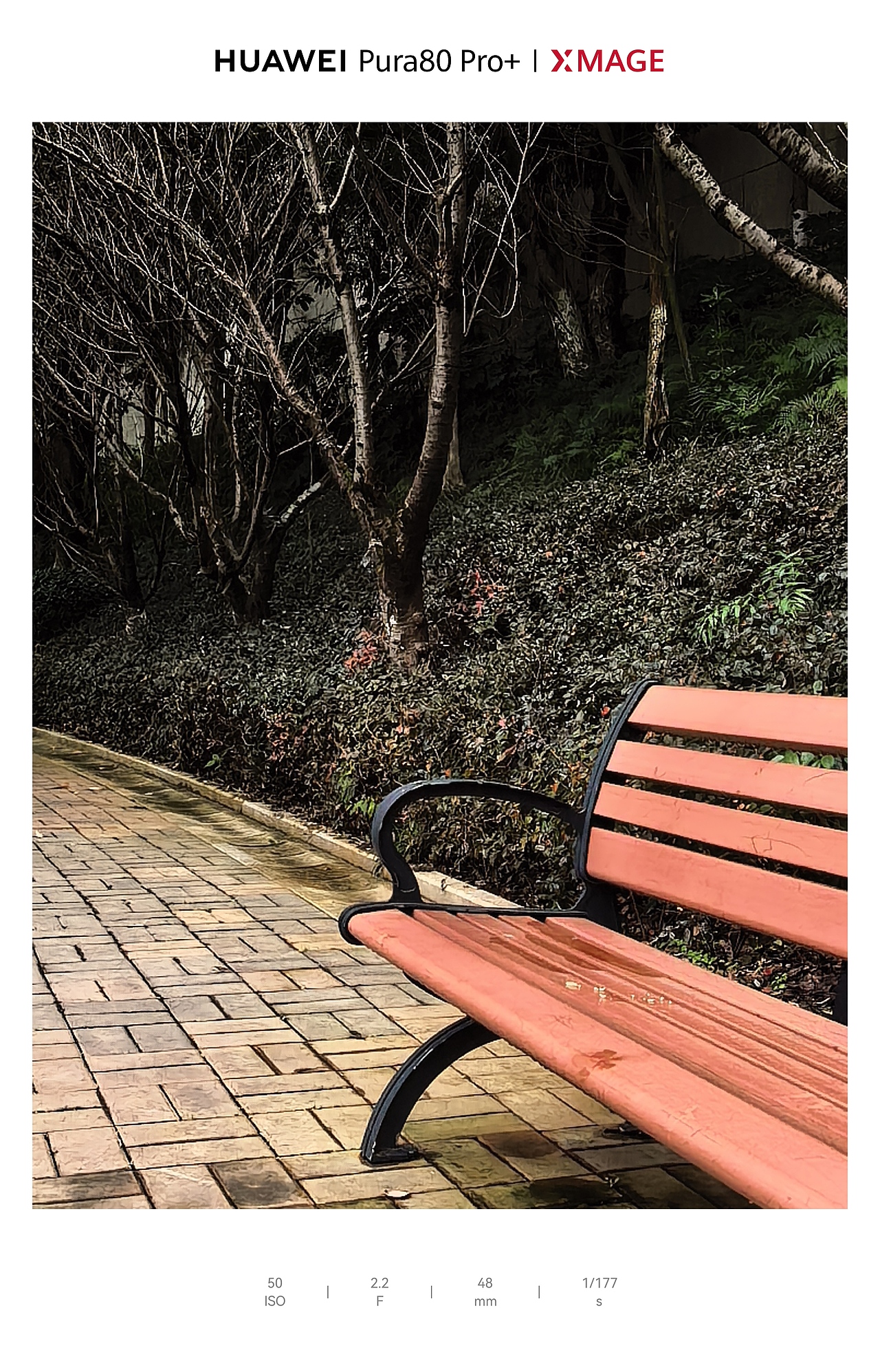 城市里的湿润松弛感：水与光的温柔拼图