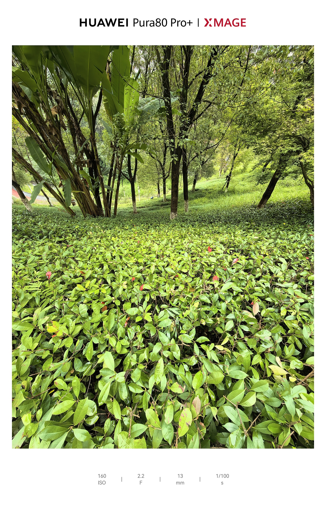 城市里的湿润松弛感：水与光的温柔拼图