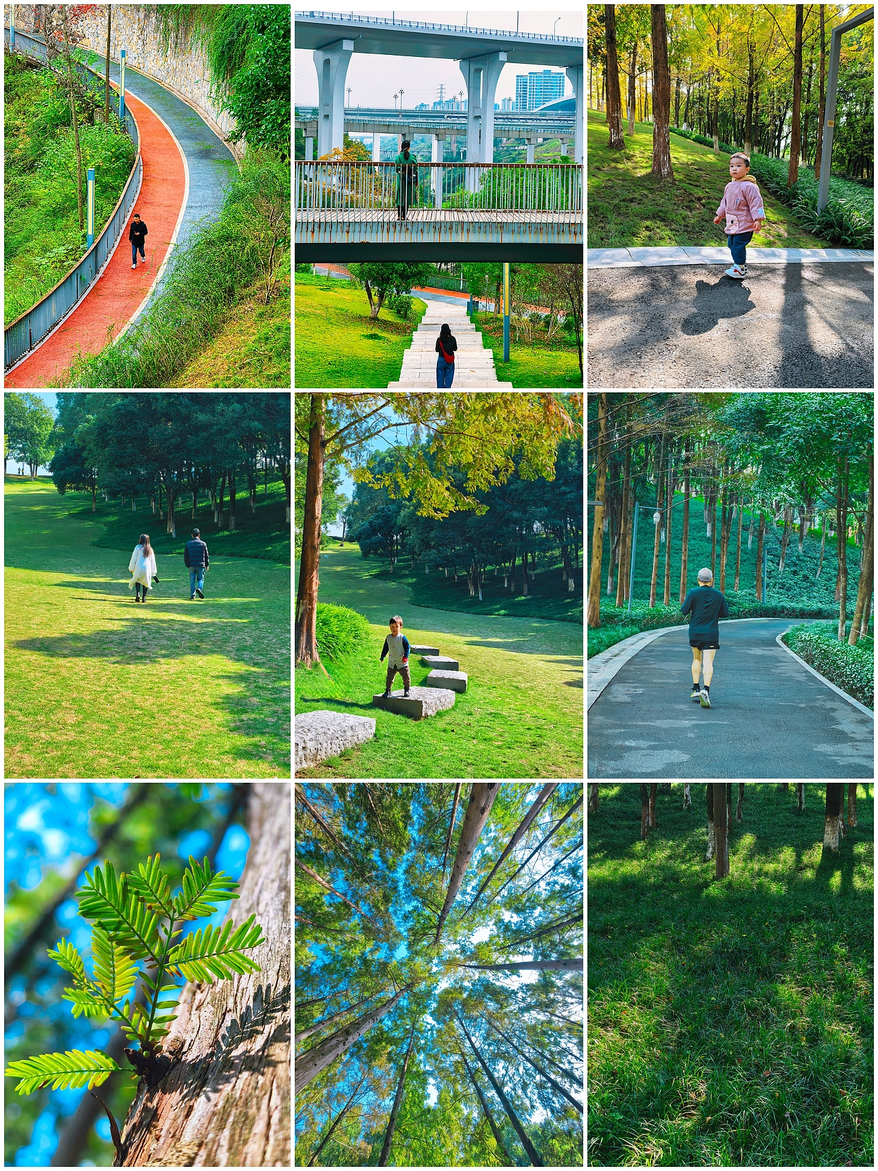 城市绿肺里的松弛动线：光与影的散步诗