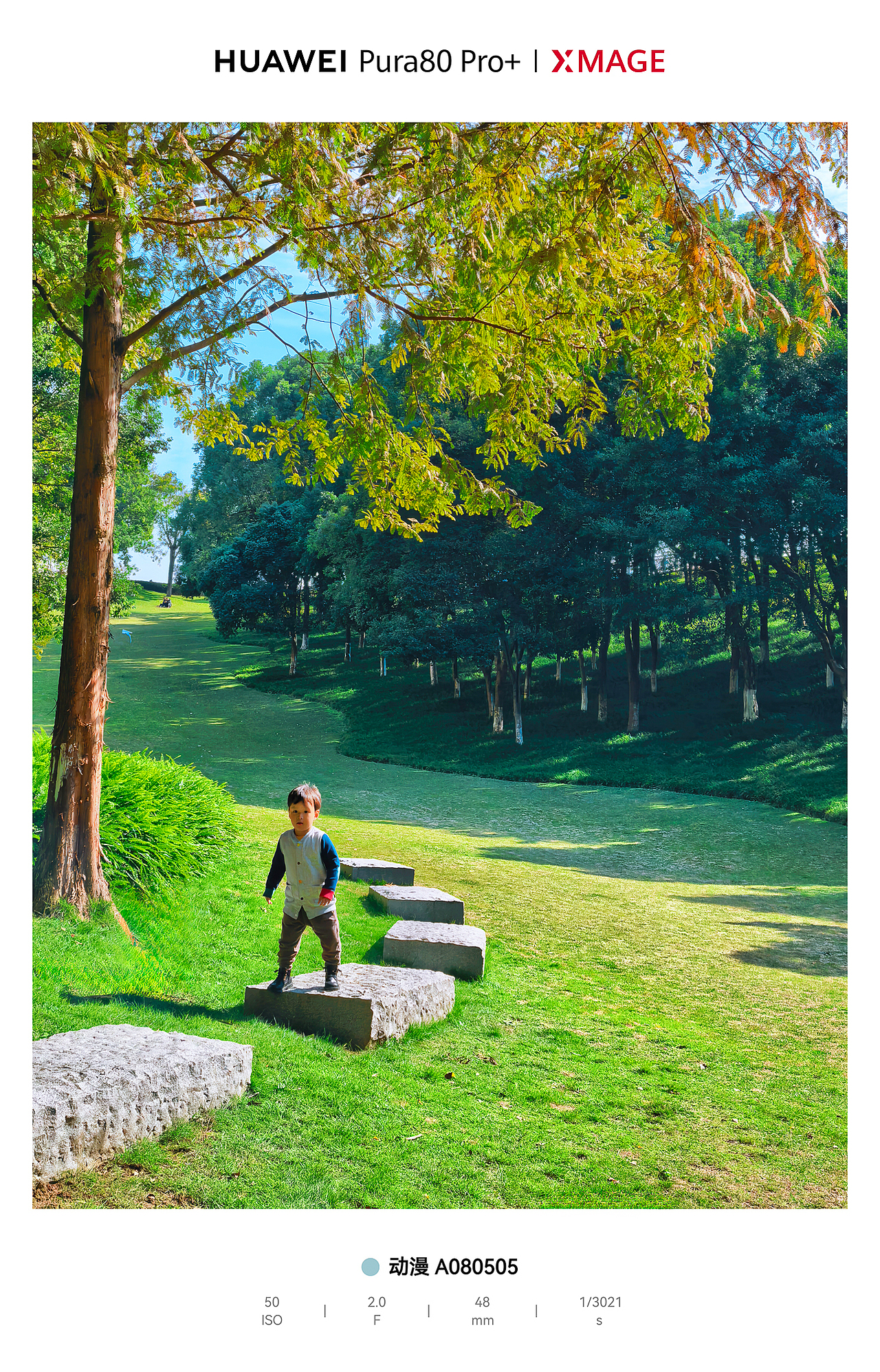 城市绿肺里的松弛动线：光与影的散步诗