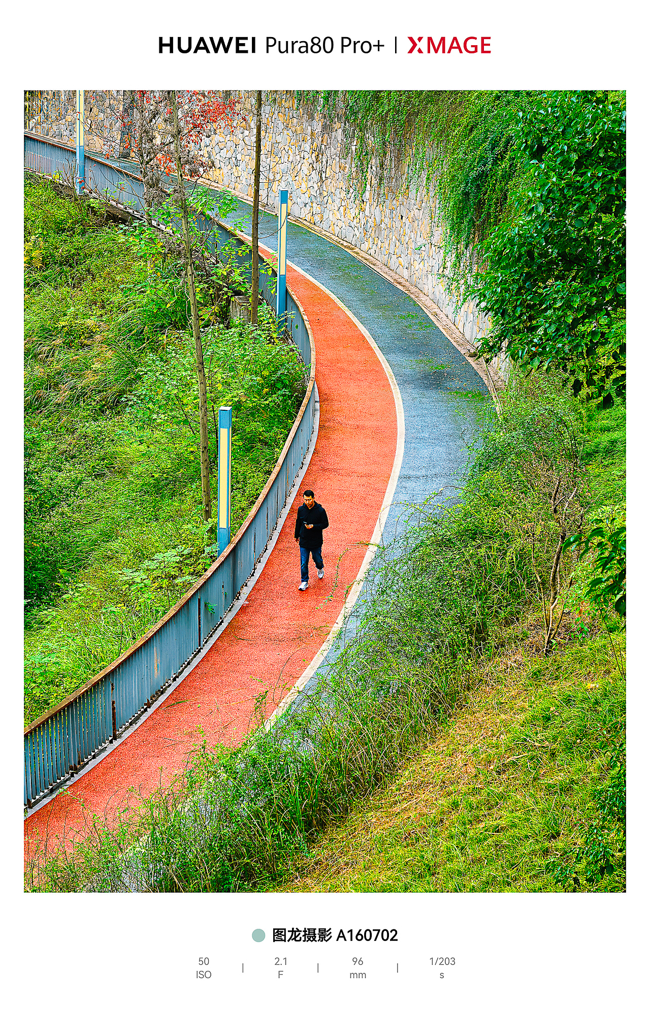 城市绿肺里的松弛动线：光与影的散步诗