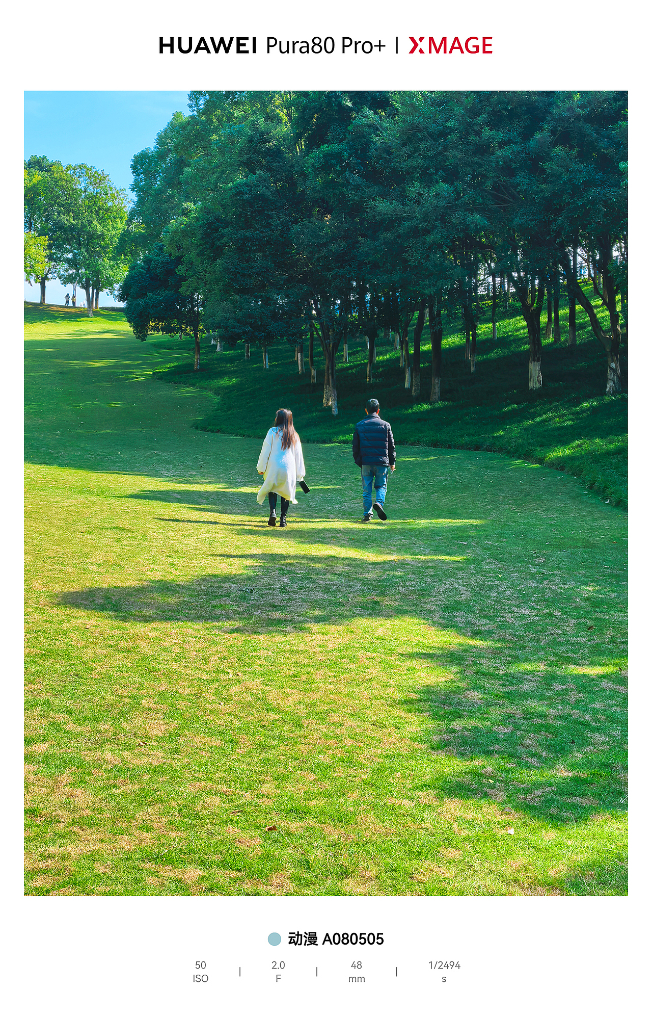 城市绿肺里的松弛动线：光与影的散步诗