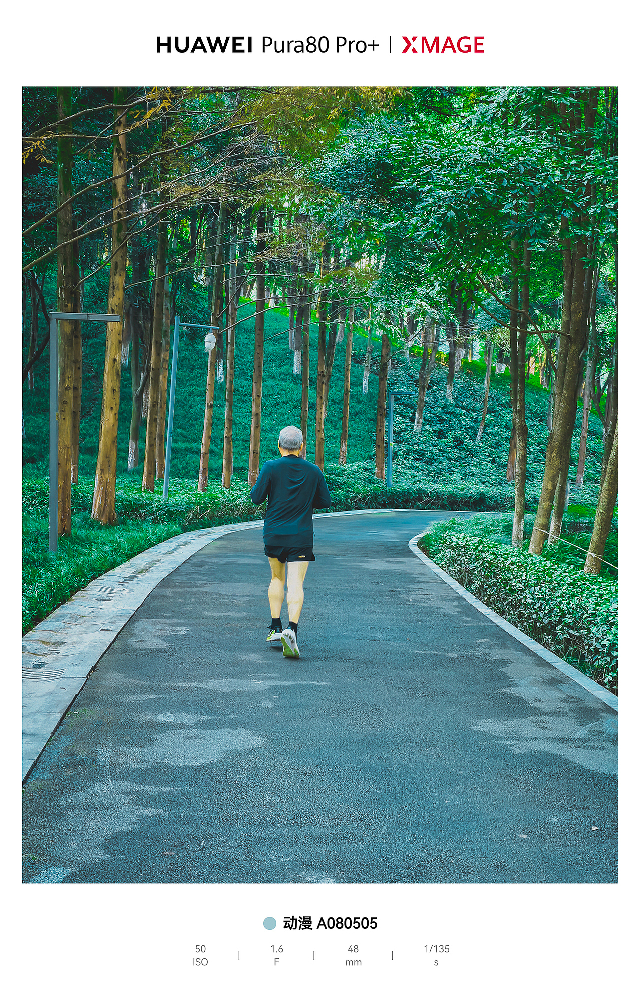 城市绿肺里的松弛动线：光与影的散步诗