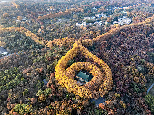 南京紫金山项链