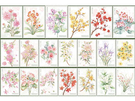 手绘中国省花插画系列