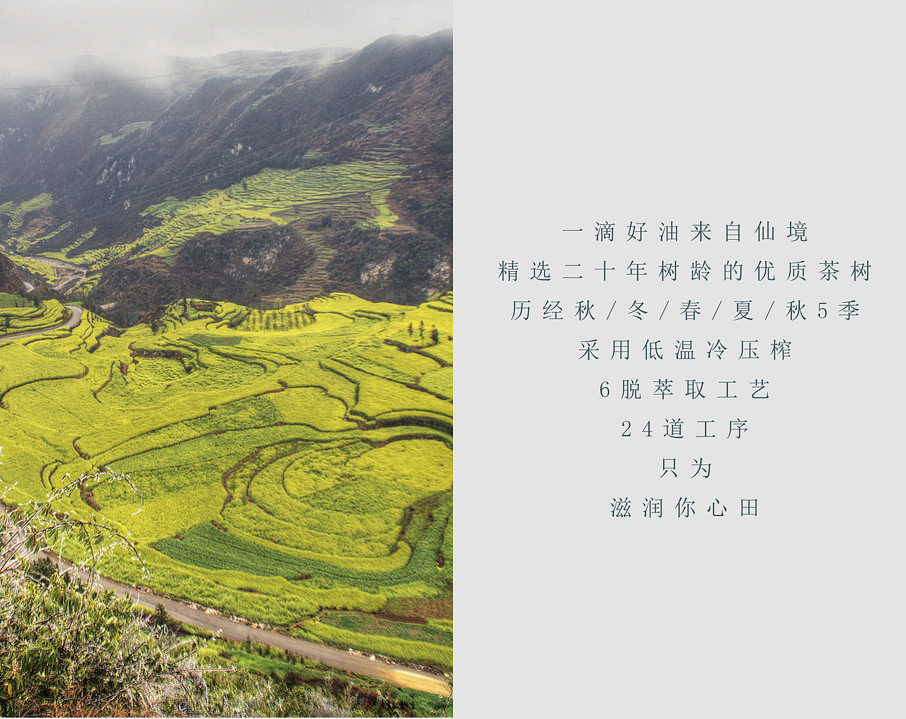 米尚往来宣传册及包装设计案例 | 合宸设计