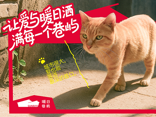 暖日巷屿 — 公益宠物品牌设计