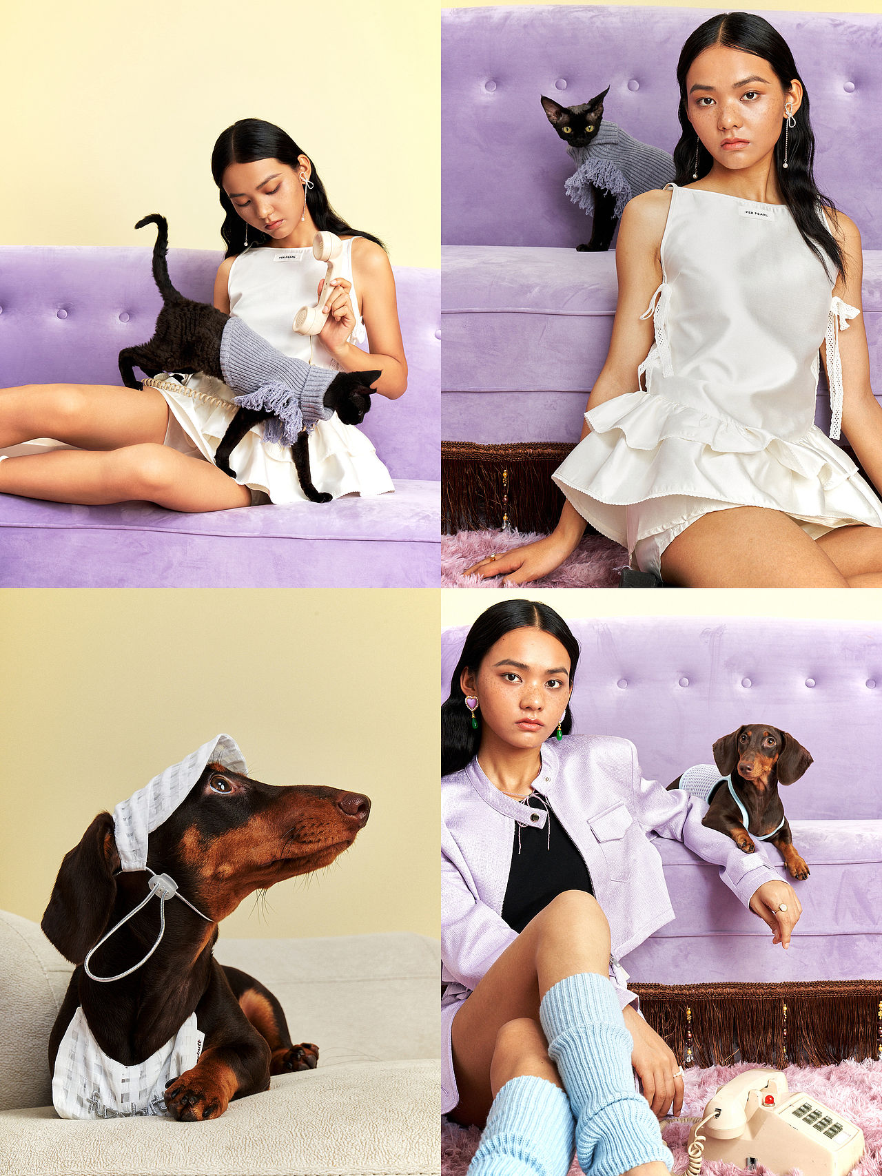 宠物用品服装拍摄～做个时髦精宝宝（图ZMzk5NjcyMjU2） - 时尚/艺术摄影 - 站酷设计师YQ有丘STUDIO原创素材 - 站酷ZCOOL