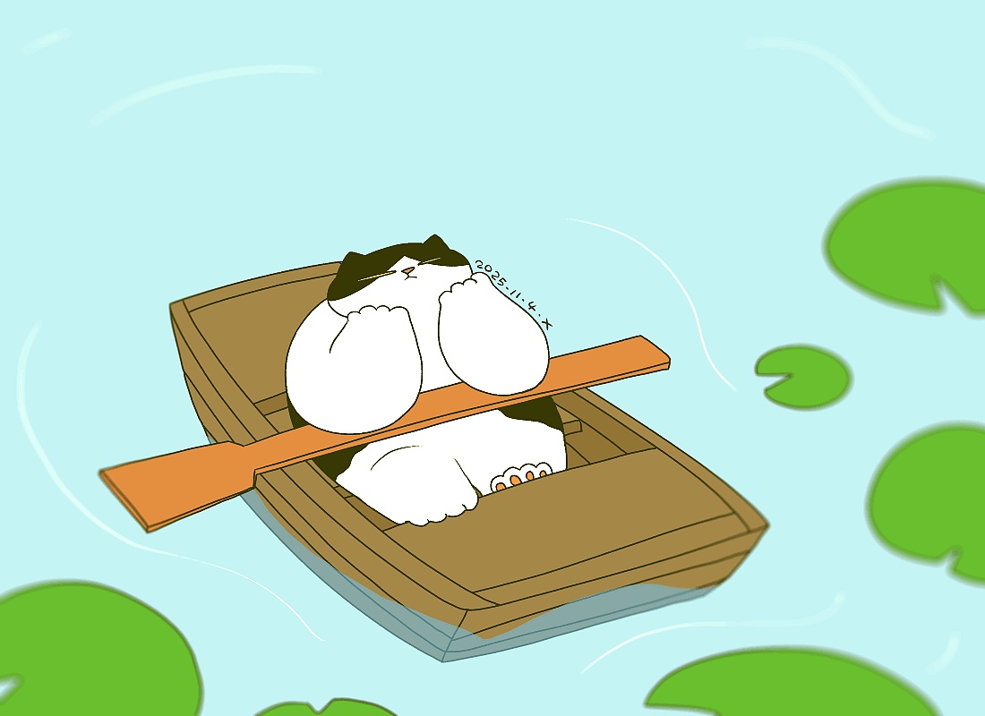 猫咪日常｜2025.11月合集