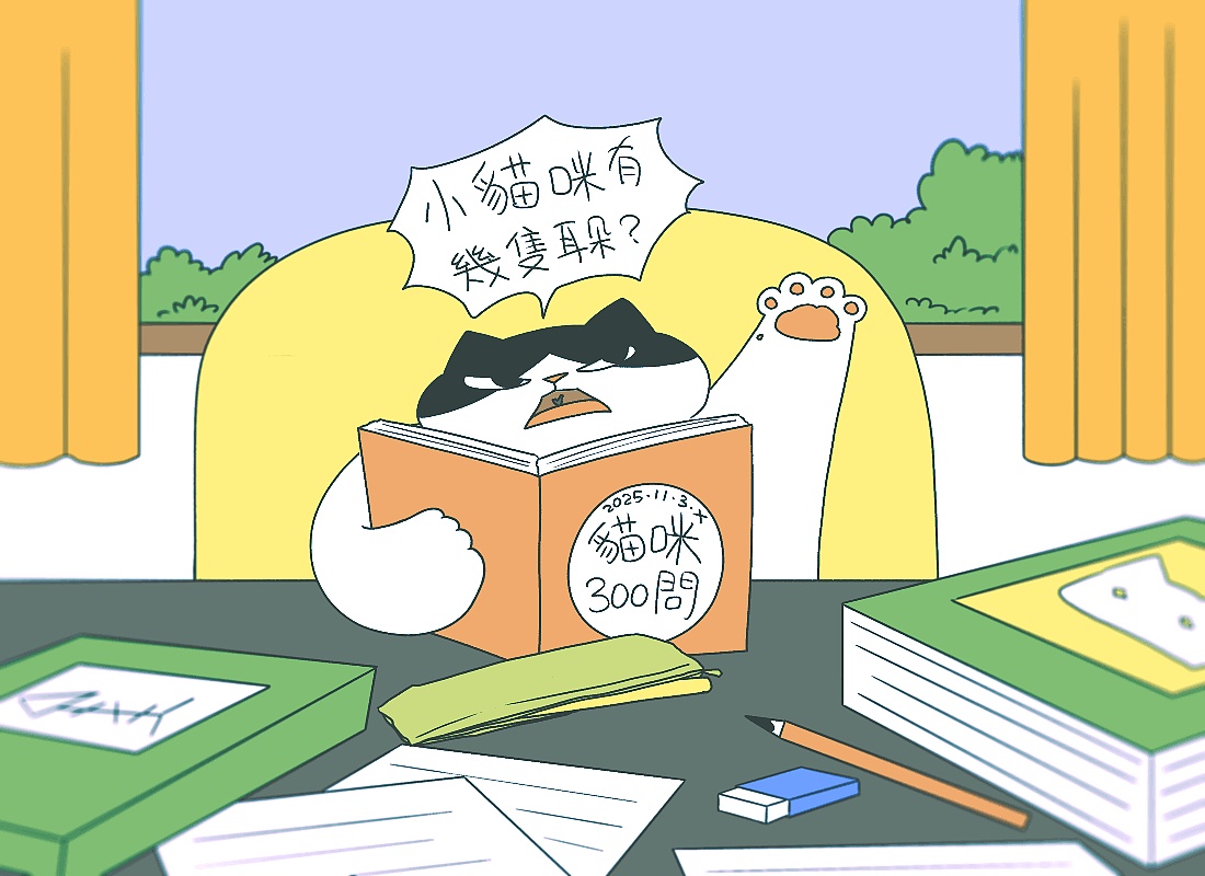 猫咪日常｜2025.11月合集