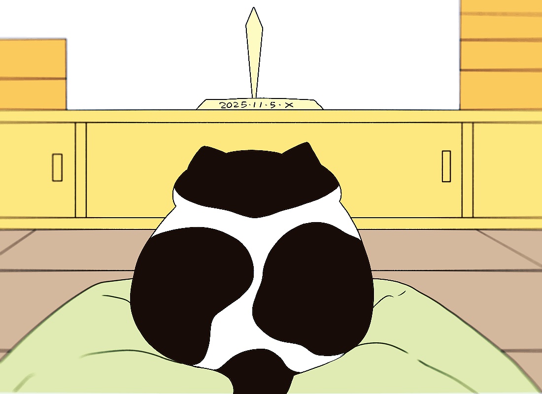 猫咪日常｜2025.11月合集