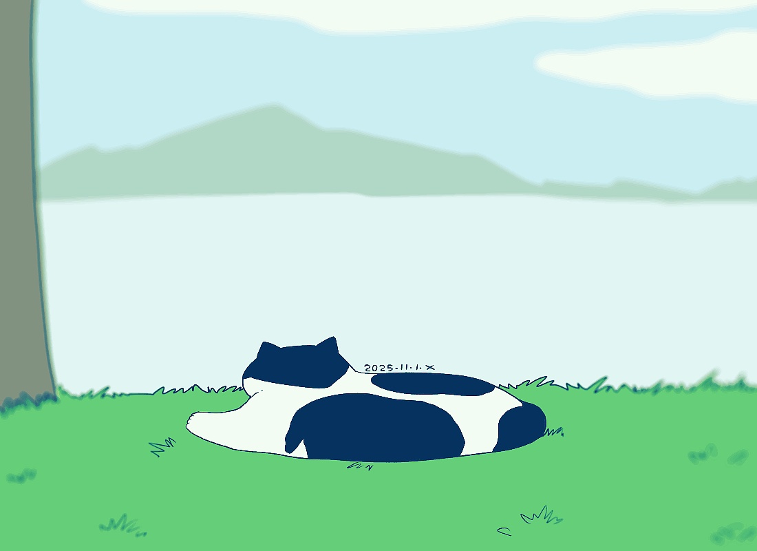 猫咪日常｜2025.11月合集