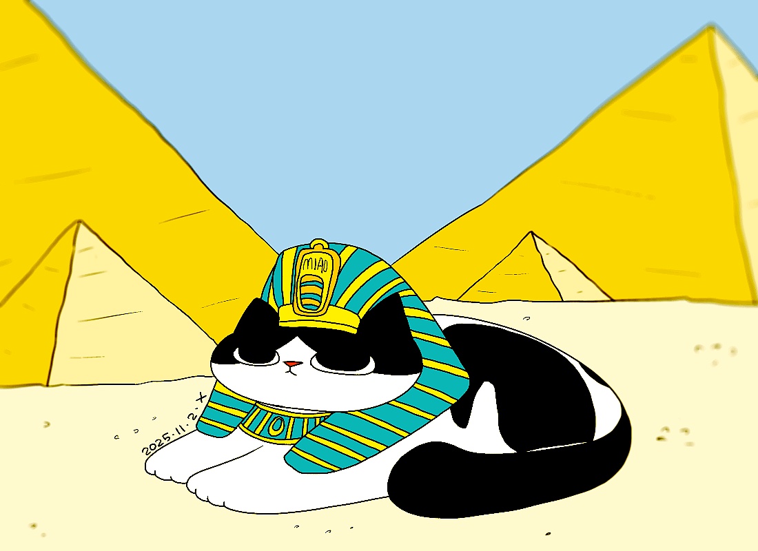 猫咪日常｜2025.11月合集