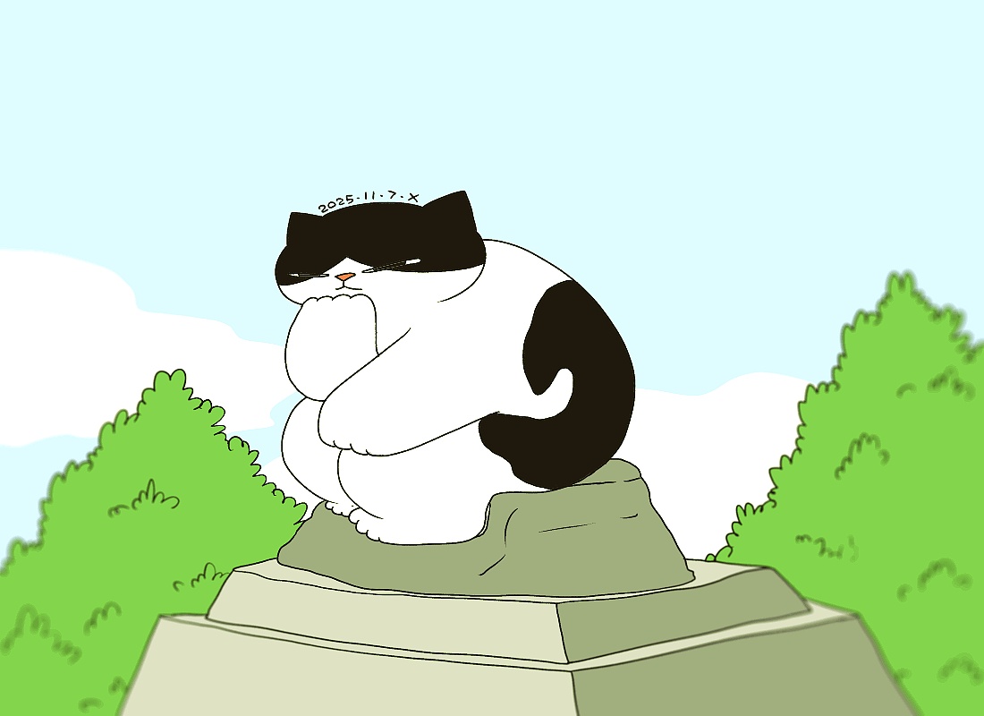 猫咪日常｜2025.11月合集