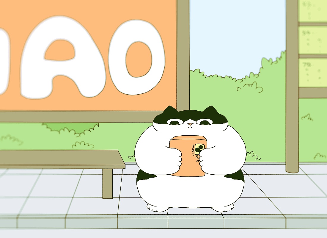 猫咪日常｜2025.11月合集