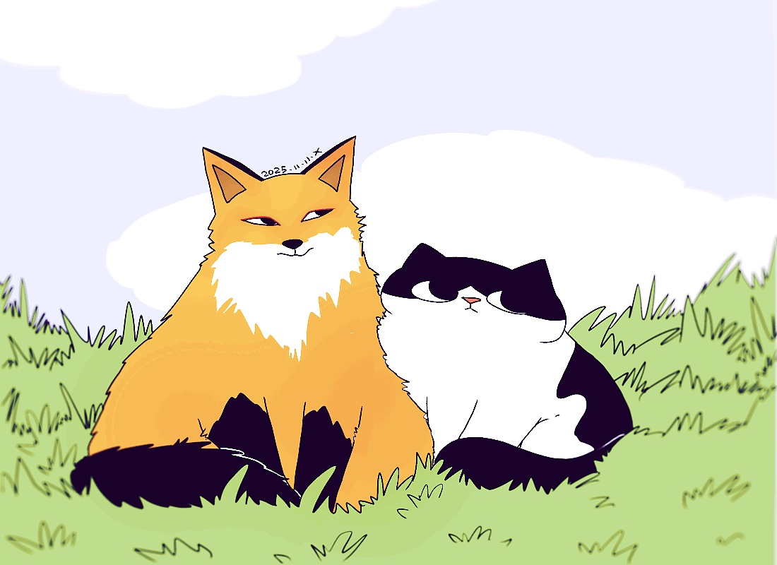 猫咪日常｜2025.11月合集