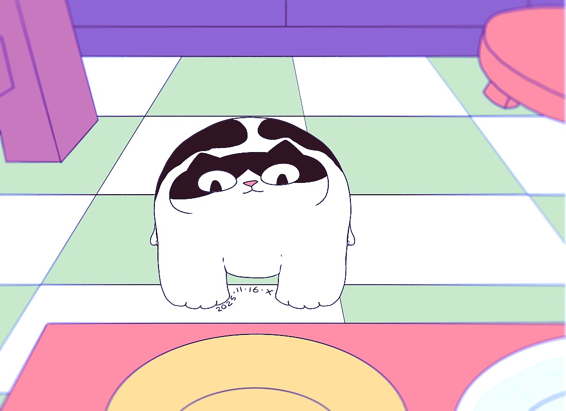 猫咪日常｜2025.11月合集