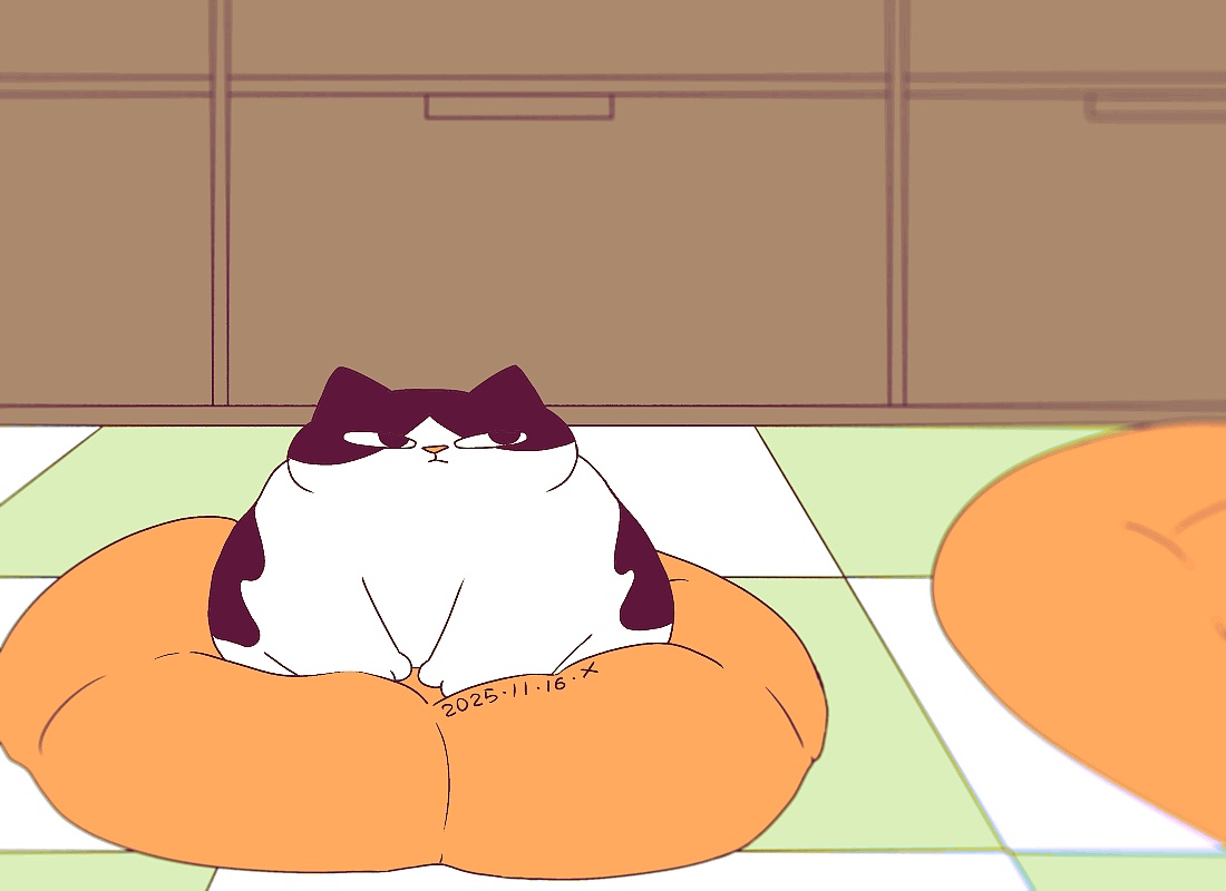 猫咪日常｜2025.11月合集