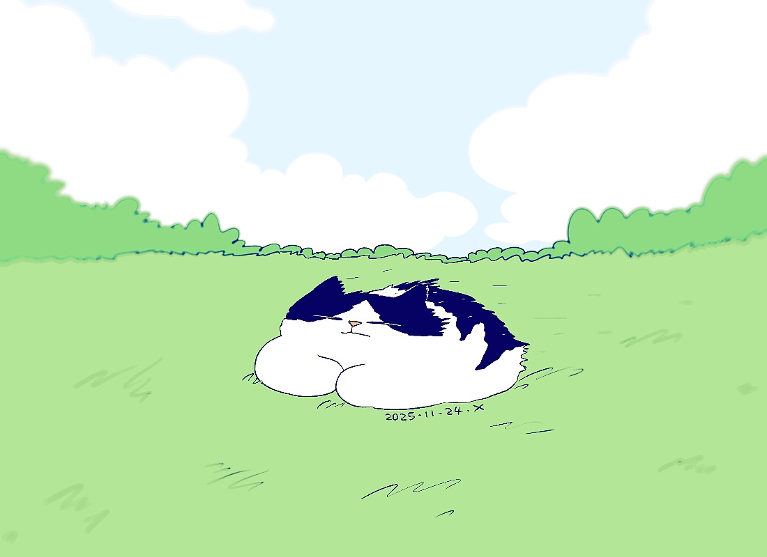 猫咪日常｜2025.11月合集