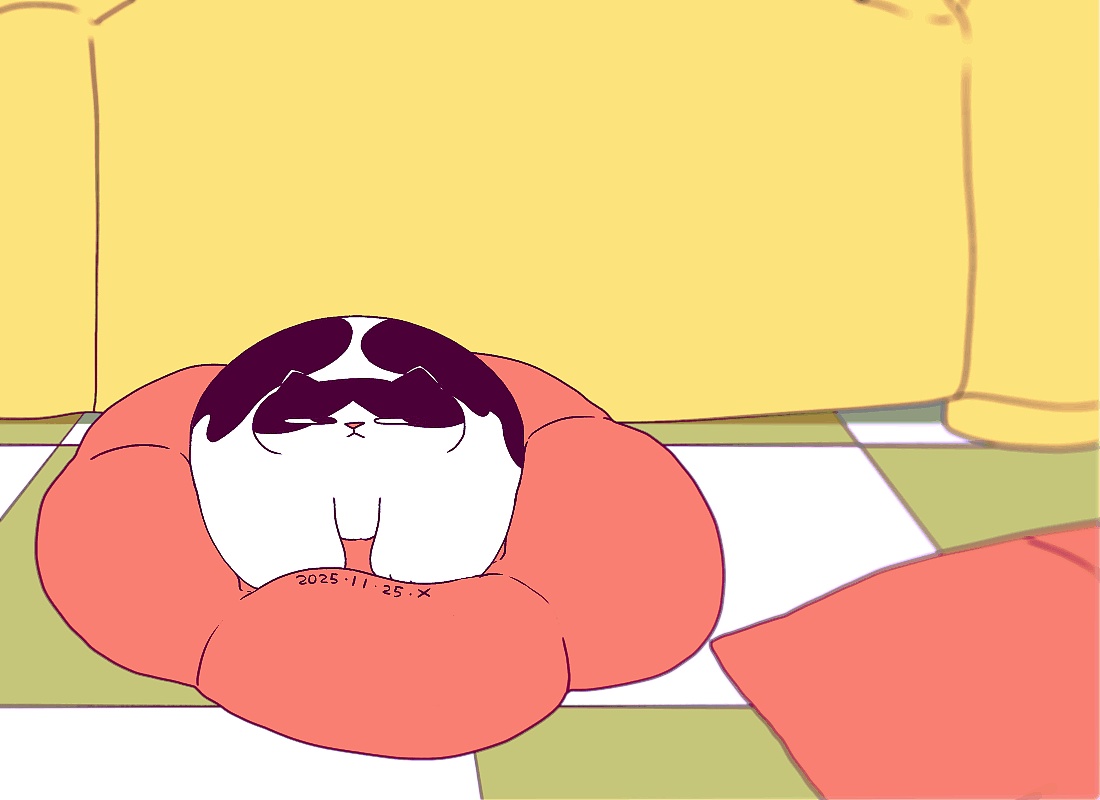 猫咪日常｜2025.11月合集