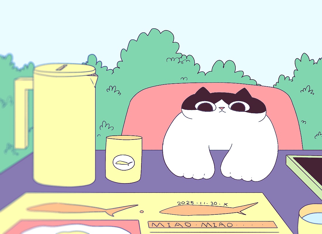 猫咪日常｜2025.11月合集