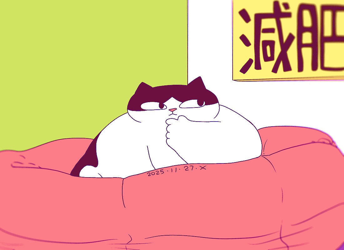 猫咪日常｜2025.11月合集