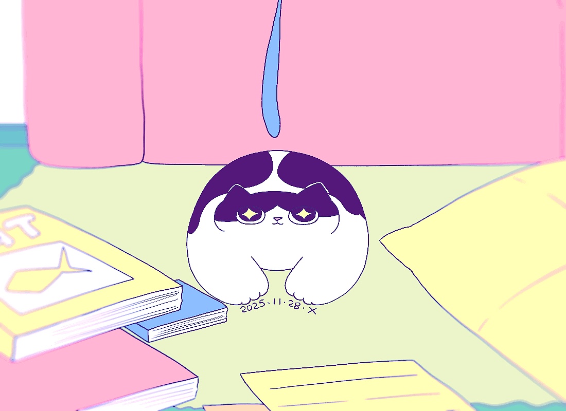 猫咪日常｜2025.11月合集