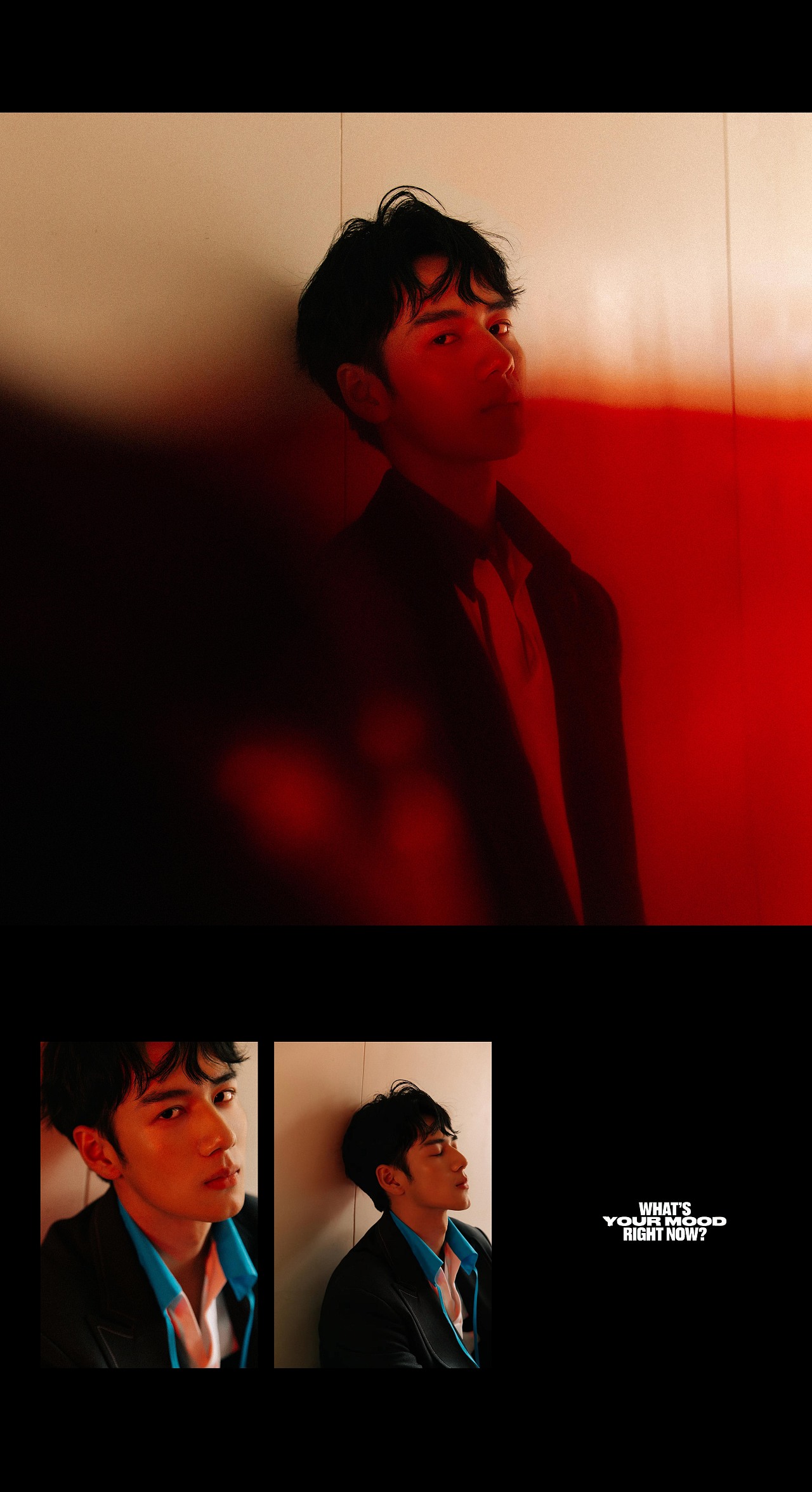 你我皆是自由的花