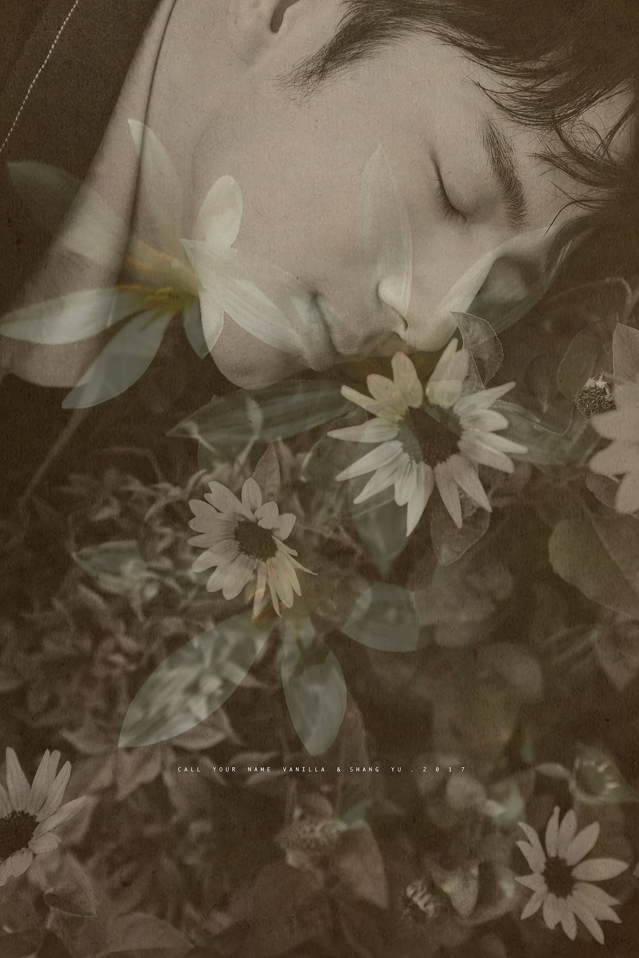 你我皆是自由的花