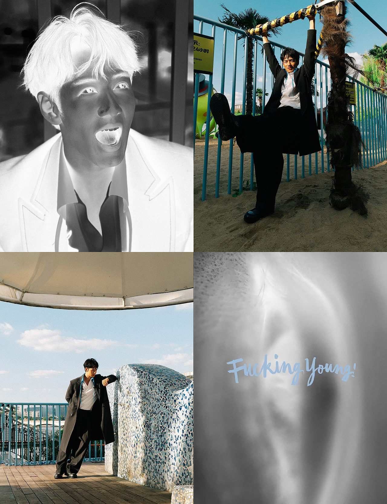 你我皆是自由的花