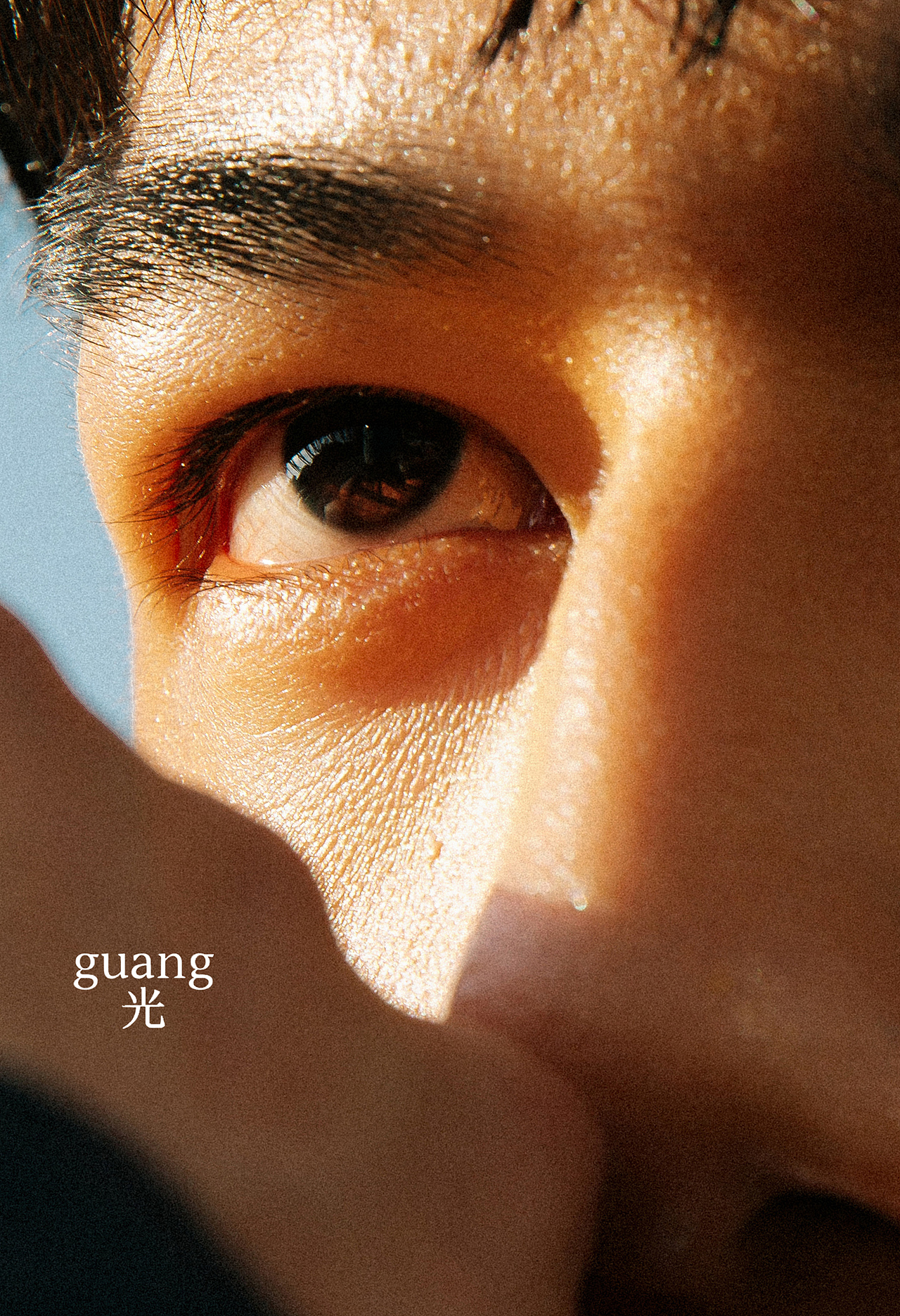 你我皆是自由的花