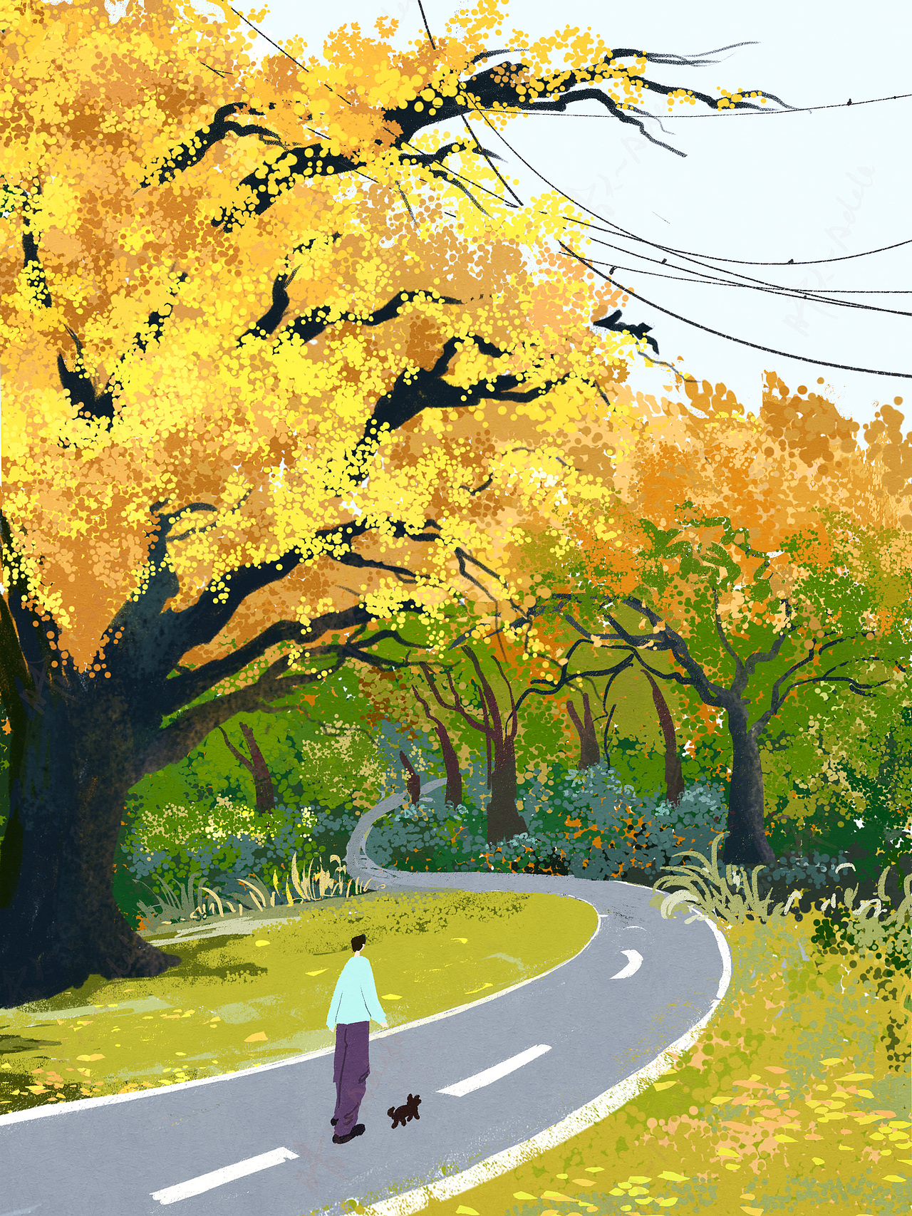 十一月作品合集（图ZMzk5Njk2Njky） - 商业插画 - 站酷设计师晴天Adela原创素材 - 站酷ZCOOL