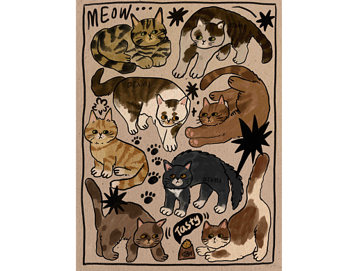 72-这些猫咪丑丑哒-20251201