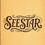 SEESTAR视觉设计的头像