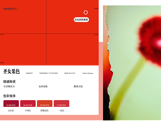 2027春夏运动装色彩趋势——从情感科学到系统应用