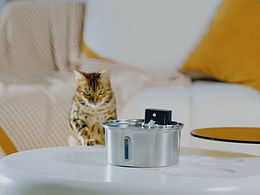 宠物饮水机视频