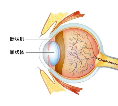 【色彩的故事】绿色篇:永远有希望!| 设计史太浓(图ZMTUzMTcwNTY=) - 教程 - 站酷设计师远麦刘斌原创素材 - 站酷ZCOOL