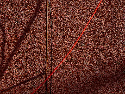 审美是人类理解世界的一种特殊形式