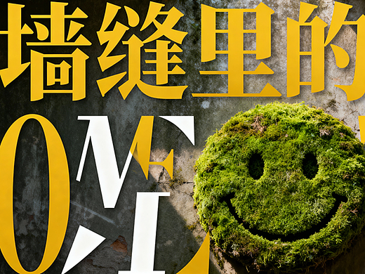 墙缝里的回信