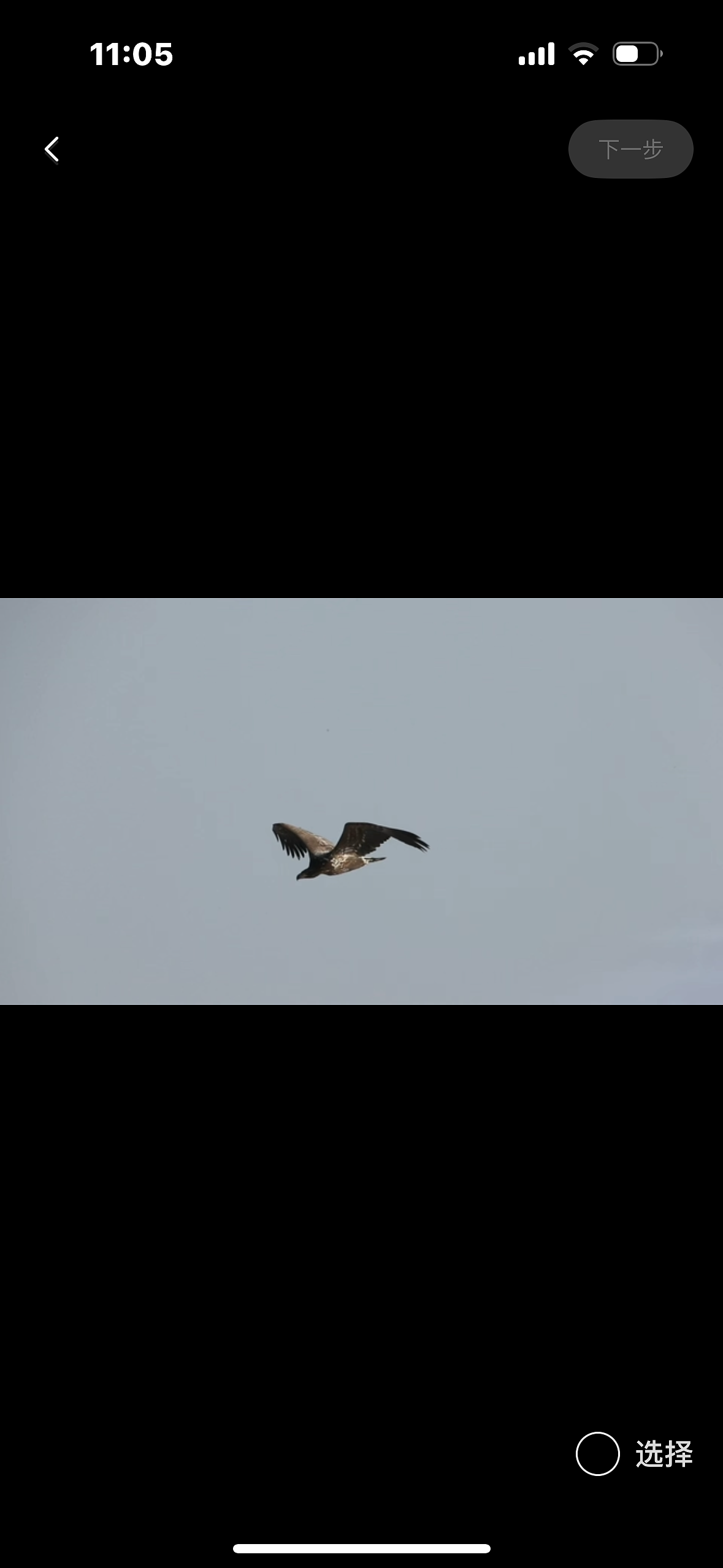 实习视频剪辑 新闻客户端发表